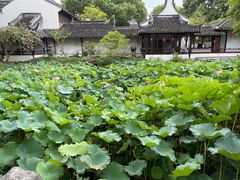 -上海醉白池公园