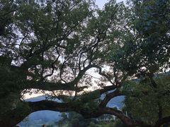 -上坦村