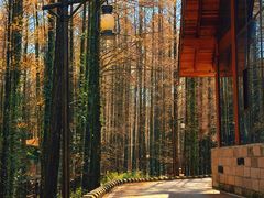 -山王坪喀斯特国家生态公园