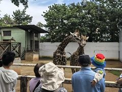 -昆明动物园