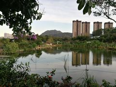 -大王岭农庄
