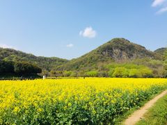 -八卦田遗址公园