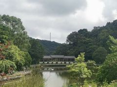-广州市帽峰山景区
