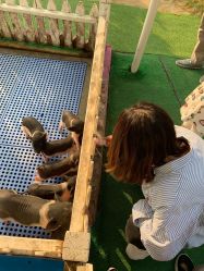 -萌宠亲子动物乐园(槐房万达店)