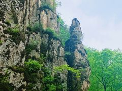 -大连天门山国家森林公园