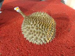 -都念榴莲·城市榴莲