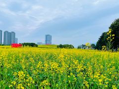 -光明小镇欢乐田园