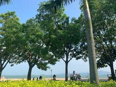 -黄金海岸环岛路