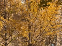 -辽宁大学(崇山校区)