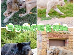 -郑州银基国际旅游度假区