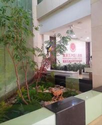 -重庆五洲妇儿医院·妇幼保健