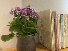 -十二舍·湯物素煮(江泰潤政店)