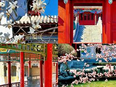 -碑林公园