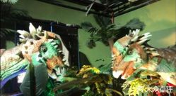 -恐龙探索乐园(磁器口店)