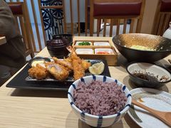 -胜博殿日式炸猪排(西红门店)