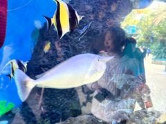 -横店影视城梦幻谷园区