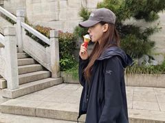 -紫金山山顶公园