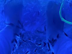 -兴芮温泉度假区