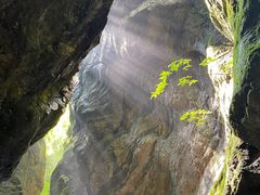 -牛背梁国家森林公园