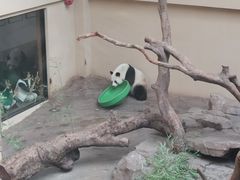-宁波野生动物园