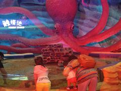 -青岛嘉年华主题乐园