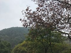 -渣滓洞