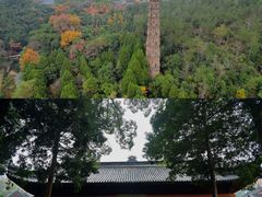 -天台山景区