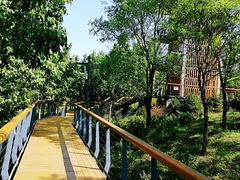 -东郊湿地公园