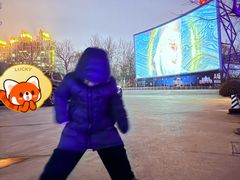 -枫花园汽车电影院(朝阳公园店)