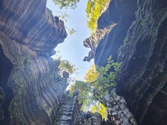 -梭布垭石林景区