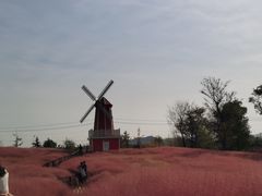 -羊亭河湿地公园