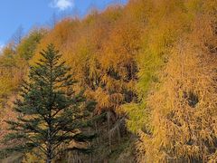-硗碛藏寨·神木垒景区