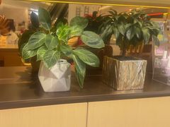 -海底捞火锅(金地广场生日主题店)