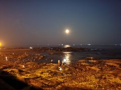 -小麦岛公园