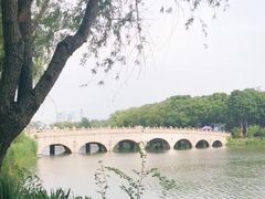 -昆山城市生态森林公园