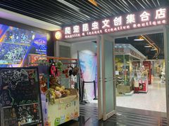 -上海大自然野生昆虫馆(东方明珠·爬宠昆虫探索中心)