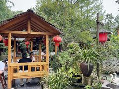 -青城甲(青城山店)