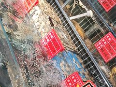 -大胡子海鲜·天津菜·砂锅烧烤(五大道创始店)