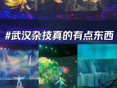 -武汉杂技厅