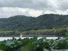 -湖畔居茶楼(湖滨店)