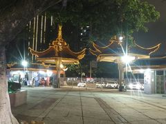 -金砂公园