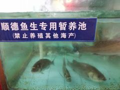 -寻味顺德·南记酒家·传统顺德菜·鱼生(广源路店)
