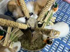 -三旗百汇商品城