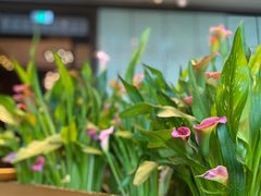-运·中餐厅(成都华尔道夫酒店)