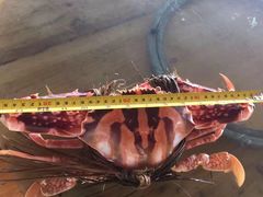 -浪琴湾尾角仔海鲜坊