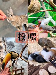-Zoolung Zoolung动物主题公园(海信广场店)