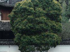 -宁波市保国寺古建筑博物馆