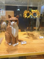 -乐高授权专卖店(岭南站NOVA店)