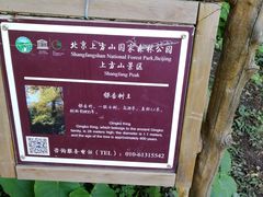 -北京上方山国家森林公园
