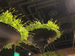 -TIAGO HOME KITCHEN(王府中环店)